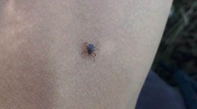 Keneye karşı ‘dışarıda uyumayın’ uyarısı!