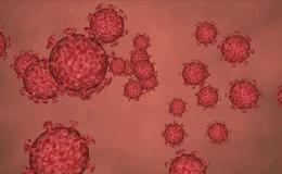 Zona Nedir? Nasıl Tedavi Edilir?